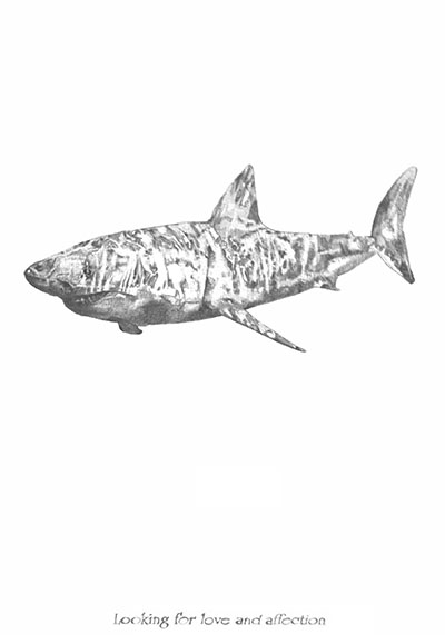 Just a shark BriaBethanyBrown