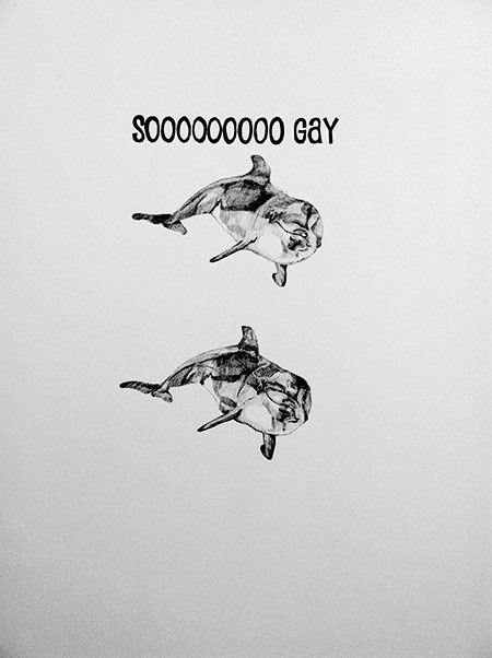 Dolphins Are Gay BriaBethanyBrown